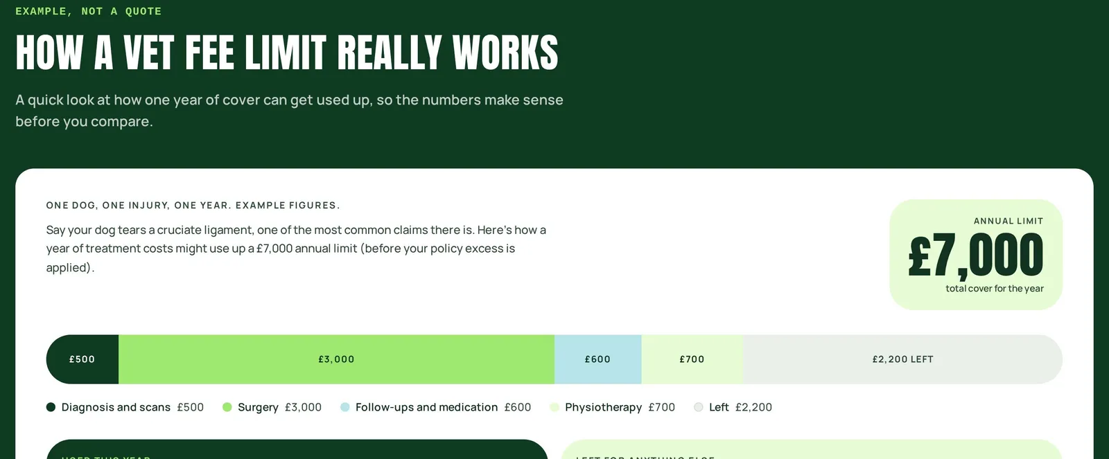 Yeti Compare worked example showing how treatment costs can use a policy’s annual vet-fee limit
