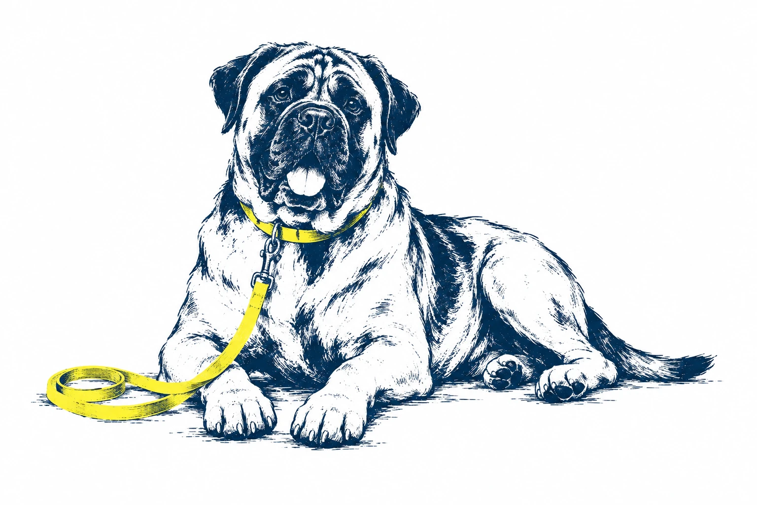 A calm bullmastiff at rest
