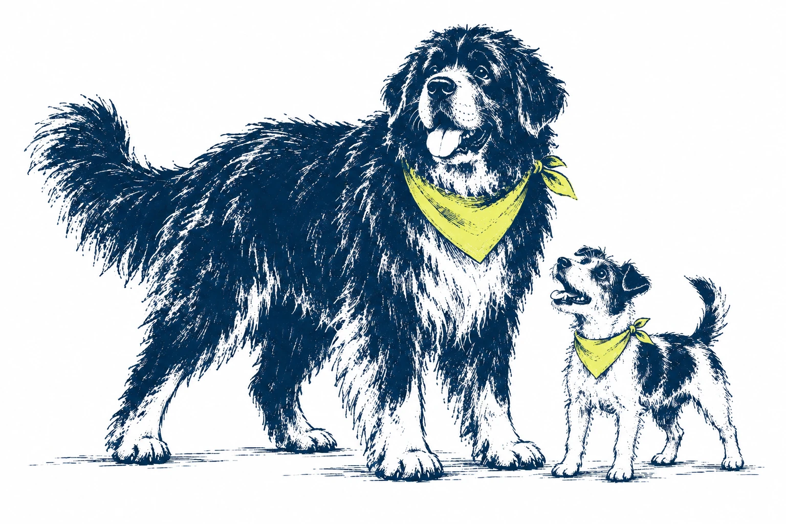 A large Newfoundland beside a small terrier